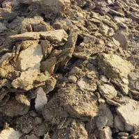 خاک گوسفند یک کمپرسی