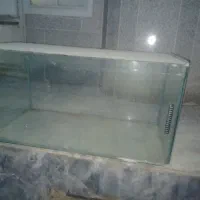 آکواریوم|ماهی|شیروان (خراسان), |دیوار