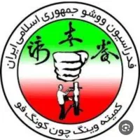 آموزش هنررزمی ووشو