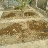 انجام کلیه کارهای باغ و باغبانی