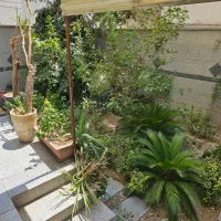 ۱۳۰متر سه خواب تک واحدی تاپ لوکیشن پالیزی|اجارهٔ آپارتمان|تهران, نیلوفر|دیوار