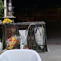 واگزاری مغازه جگری وکبابی