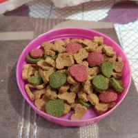 غذا خشک خوش خوراک