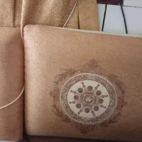 دو جفت پشتی