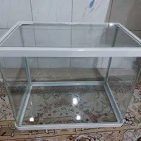 اکواریم با چندتا وسلیه کم کارکرد|ماهی|تهران, مسعودیه|دیوار