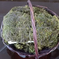 سبد حصیری|صنایع دستی و سایر لوازم تزئینی|قم, خداکرم|دیوار