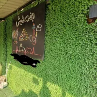 حدود ۲۴ متر مربع گرینوال دیواری نو