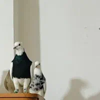 نر طوقی سیاه و زرین فوق درشت شش دانگ|پرنده|اهواز, سپیدار|دیوار