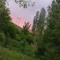 تور یک ونیم روزه آبشار شارک