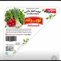 همکار راننده با  خودرو (سواری)جهت پخش