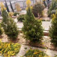 خدمات باغبانی درخت کاری سم پاشی گل کاری|خدمات باغبانی و درختکاری|شیراز, قصرالدشت|دیوار