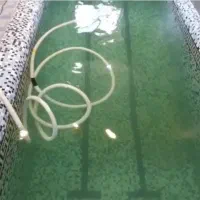 جارو استخر و نظافت استخر