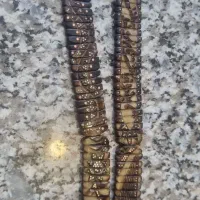 تسبیح هسته خرما