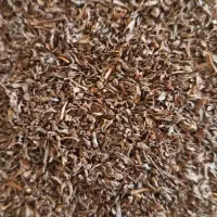 کارگر ساده با جای خواب+نهار