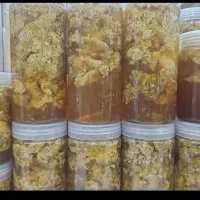 عسل کال  وعسل جاشیر وکماعسل خار مریم عسل گاپونه|خوردنی و آشامیدنی|شیراز, کاراندیش|دیوار