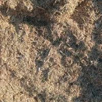 فروش سامان نخود|لوازم جانبی حیوانات|بوکان, |دیوار