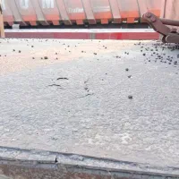 یک دستگاه کفی چرخ 24سالم وباک آلومینیومی