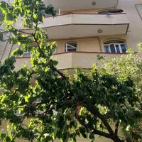 ۴ واحدمسکونی یکجا / یاغچیان / سفیران ملک|فروش آپارتمان|تبریز, |دیوار