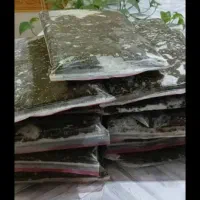 سبزی|خوردنی و آشامیدنی|اهواز, کیانپارس |دیوار