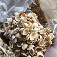 خریدار پوست پسته