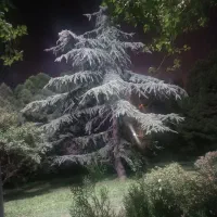 85 متر همکف جهت کارگاه کم صدا