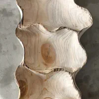 ظرف تقسیمی چوبی