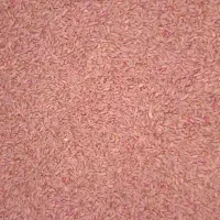 گندم|خدمات باغبانی و درختکاری|دهگلان, |دیوار