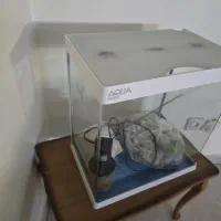 اکواریوم شیشه خم