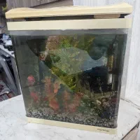 اکواریوم با تمام وسایل