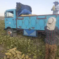 خاور ۸۰۸ باری مدل ۷۱|خودرو سنگین|زنجان, |دیوار