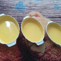 دیس مرغ خوری 3 عدد و سینی و استند