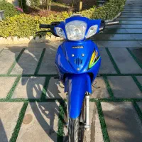 کویر رادیسون خشک مدل ۹۵ کاربرات