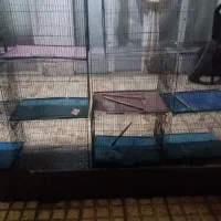 قفس پرنده|لوازم جانبی حیوانات|اصفهان, قهاب جنوبی|دیوار