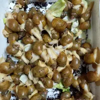 حلزون آلبینو