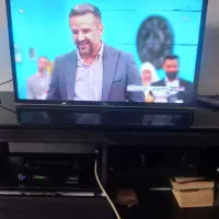 ال ای دی ۳۲ تی سی ال Tcl|تلویزیون و پروژکتور|قزوین, |دیوار