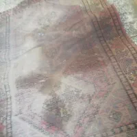 قالیچه دست باف قدیمی|فرش|اصفهان, جاوان|دیوار