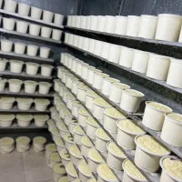لبنیاتی حمیدی طارانی