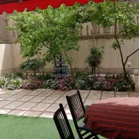 آپارتمان حیاط دار ونک