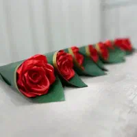 تک شاخه های روبانی روز مادر فقط ۷۰ تومن