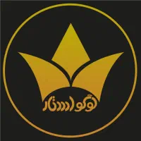 آکادمی لوگو استار