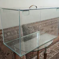 اکواریوم نو|ماهی|تهران, مسعودیه|دیوار