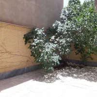 فروش ویلایی