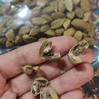 نرمه،ریشه،زرشک