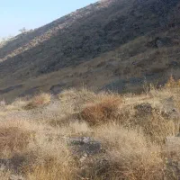 زمین ویلایی باغی جاغرق حاجی آباد نقد اقساط|فروش زمین و ملک کلنگی|طرقبه, |دیوار