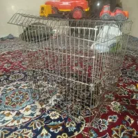 قفس بزرگ