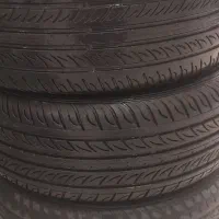 لاستیک|قطعات یدکی و لوازم جانبی|تربت‌حیدریه, حاجی یار‎|دیوار