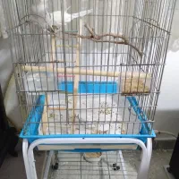 وسایل  جانبی پرنده