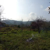 زمین مسکونی