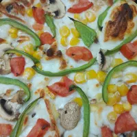 نیرو برا فست فود