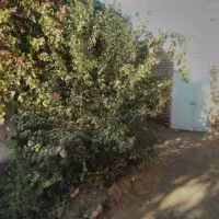 منزل ویلایی|فروش خانه و ویلا|جوین, |دیوار